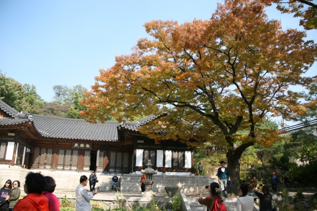 editor_image
